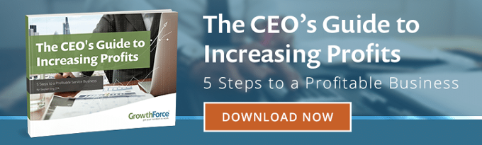 The CEO's Guide to Increasing Profits: 5 Steps to a Profitable Business 