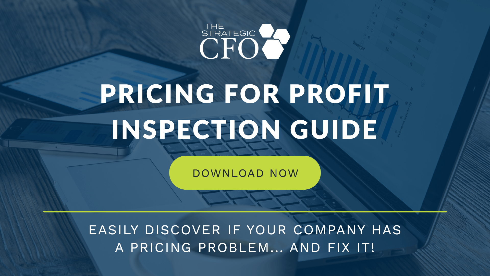 pricing for profit, Pricing for Profit Case Study