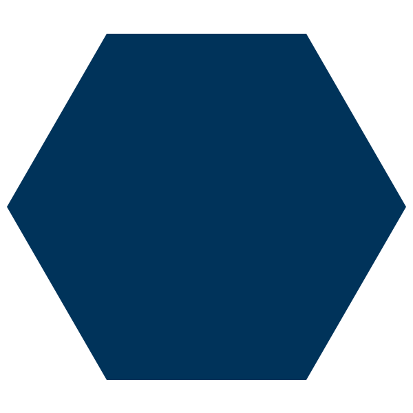 Solid blue hexagon shape